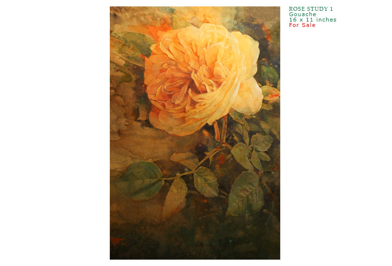 rose